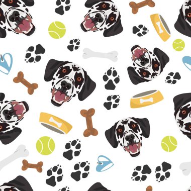 Gülümseyen Köpek Dalmaçyalı