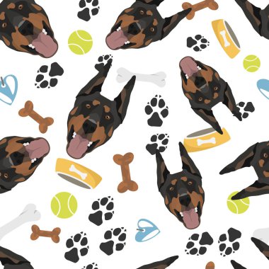 Gülümseyen Köpek Doberman