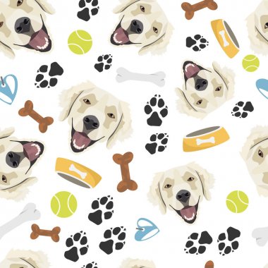 Köpek Golden Retriever gülümseyen 
