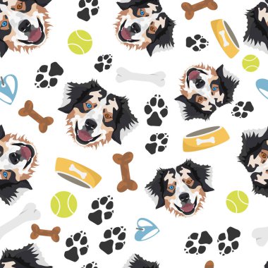 Gülümseyen Köpek Avustralya Çoban