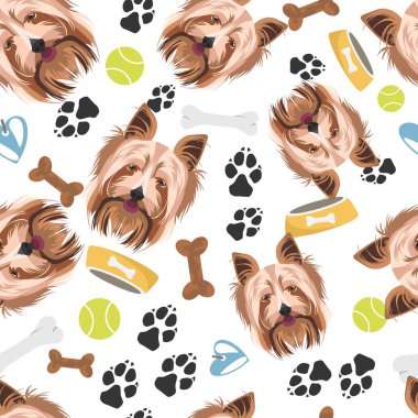 Gülümseyen Köpek Yorkshire Terrier