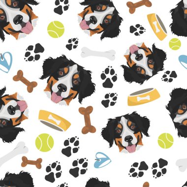 Gülümseyen Köpek Bernese Dağ Köpeği