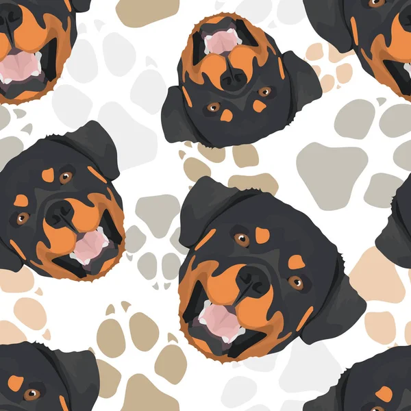 Pattern Dog Paws rottweiler minta — Stock Vector