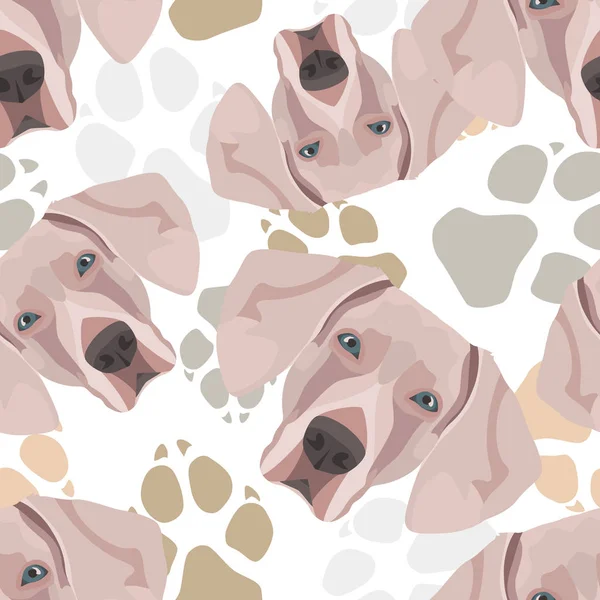 Pattern Dog Paws Weimaraner — Stock Vector