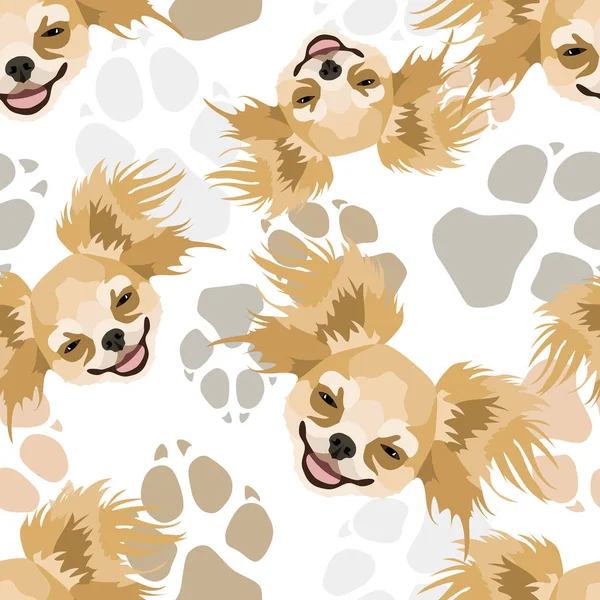 Dog paws pattern Chihuahua — Stock Vector