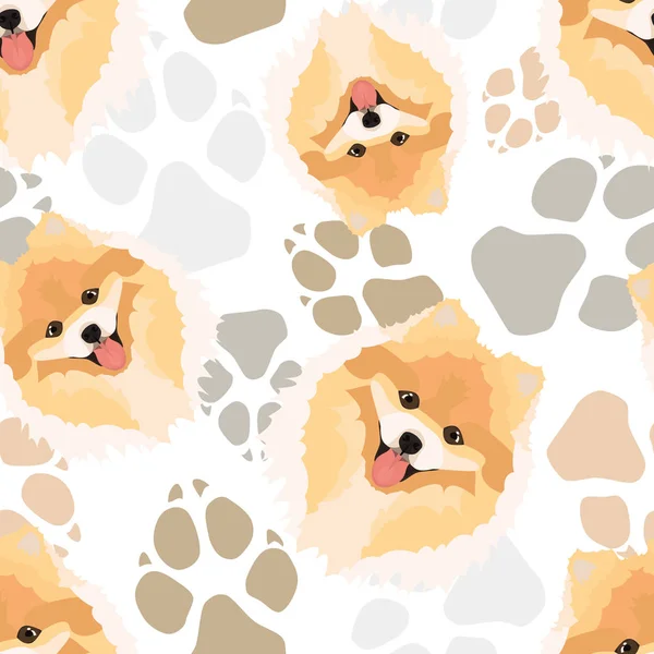 Dog paws pattern Chow