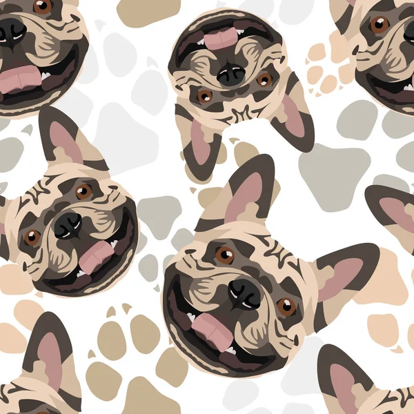 Pattern Dog Paws French Bulldog — Stock Vector