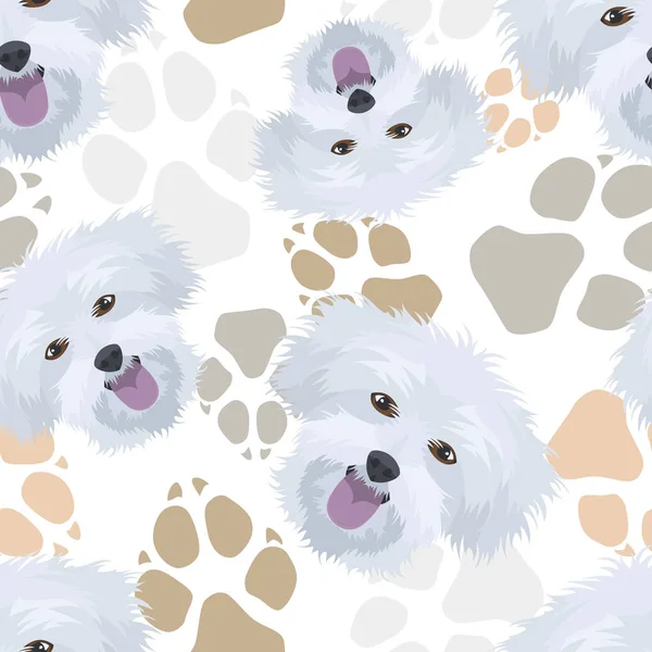 Patroon hond Paws Maltese — Stockvector