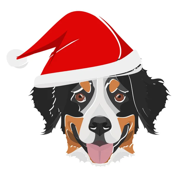 Ilustración Bernese perro de montaña con sombrero de Santa rojo — Archivo Imágenes Vectoriales