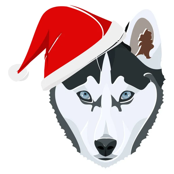 Ilustrace husky s červeným vánočním kloboukem — Stockový vektor