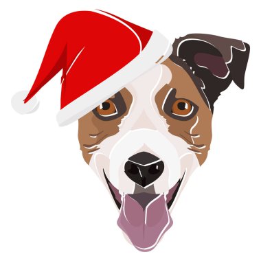 Görüntü: Kırmızı Noel şapkalı Jack Russell Terrier 