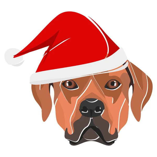 Ilustração Rhodesian Ridgeback com chapéu de Natal vermelho — Vetor de Stock