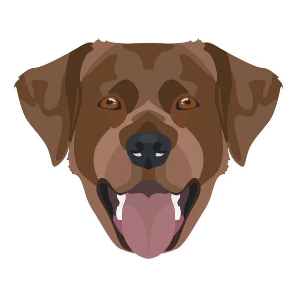 Illustration Récupérateur Labrador couleur chocolat avec sourire — Image vectorielle