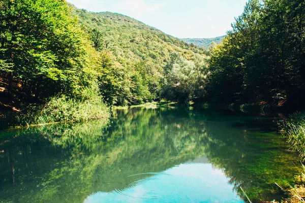 Foto Del Lago Azul Bosque Verde Fresco — Foto de Stock