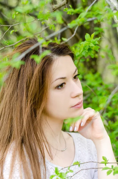 Photo Beautiful Brunette Woman Posing Outdoor Green Garden Royalty Free Stock Photos