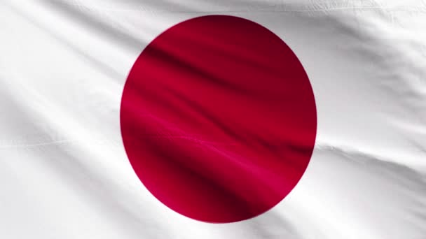 Close View Japan Flag Background — Stock Video