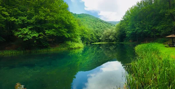 Lago Salvaje Claro Con Bosque Verde — Foto de Stock