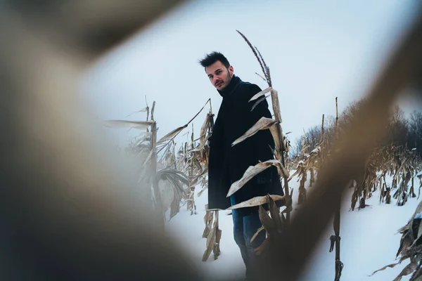Портрет Молодого Чоловіка Стоїть Полі Кукурудзи Взимку — стокове фото