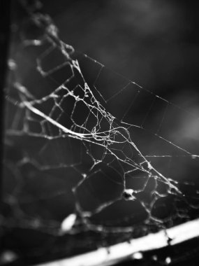 Siyah arka plan üzerine Web
