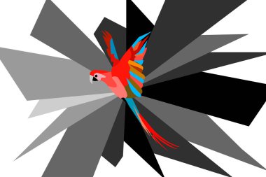 Uçarken renkli papağan tasarımı.