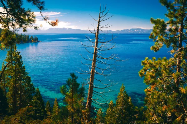 Östra Kusten Sjön Tahoe Nevada — Stockfoto