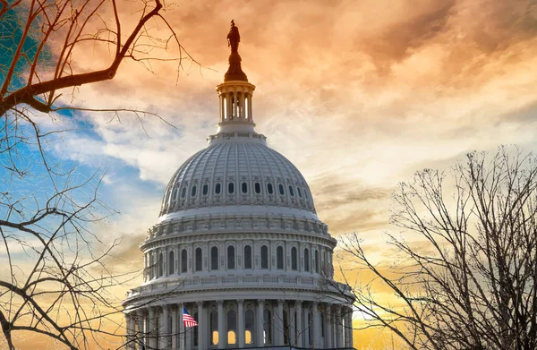 Washington Capitol Building — Stock Photo, Image