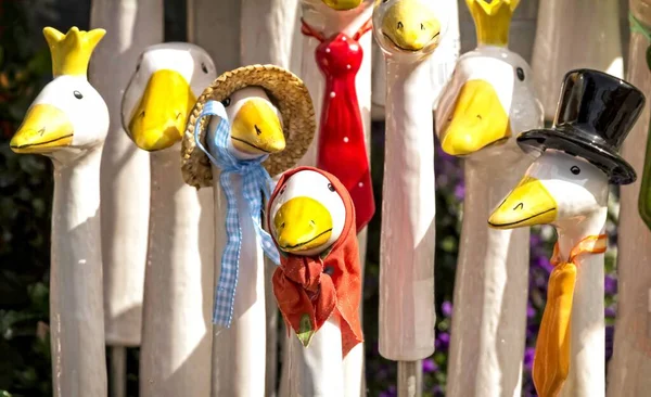 Varias Figuras Interesantes Cisnes Decorativos Exhibición Calle Una Tienda — Foto de Stock