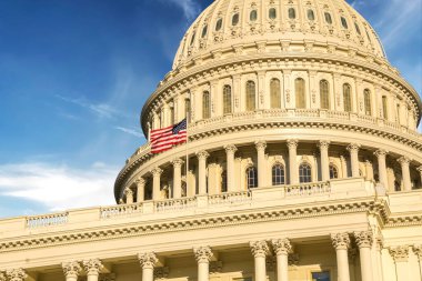 ABD Kongre Binası, Washington DC, ABD