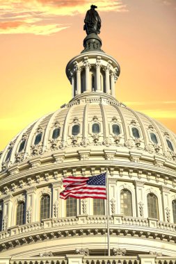 ABD Kongre Binası, Washington DC, ABD