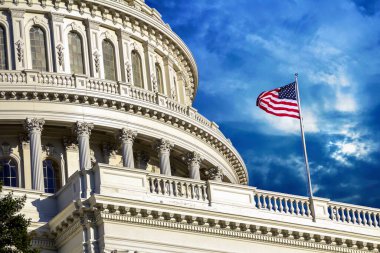 ABD Kongre Binası, Washington DC, ABD
