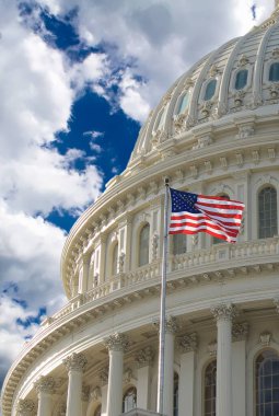 ABD Kongre Binası, Washington DC, ABD