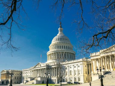 Washington DC, ABD Kongre Binası
