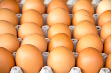 Kutudaki yumurtalar.