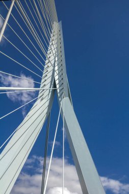 Rotterdam 'da güneşli bir günde Erasmus Köprüsü' nün tepesinde.