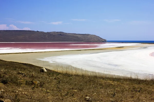 View Road Sea Pink Pond Photos Taken Years Crimea Lake Royalty Free Stock Photos