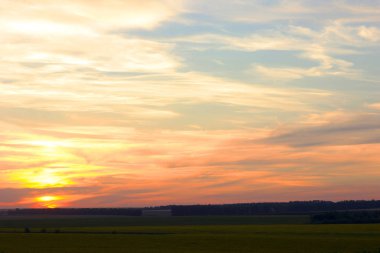Manzara gün fotoğrafların farklı zamanlarda Rusya'da doğanın açık havada, Moskova ele alındığında, 2017, sis, gökyüzü, orman