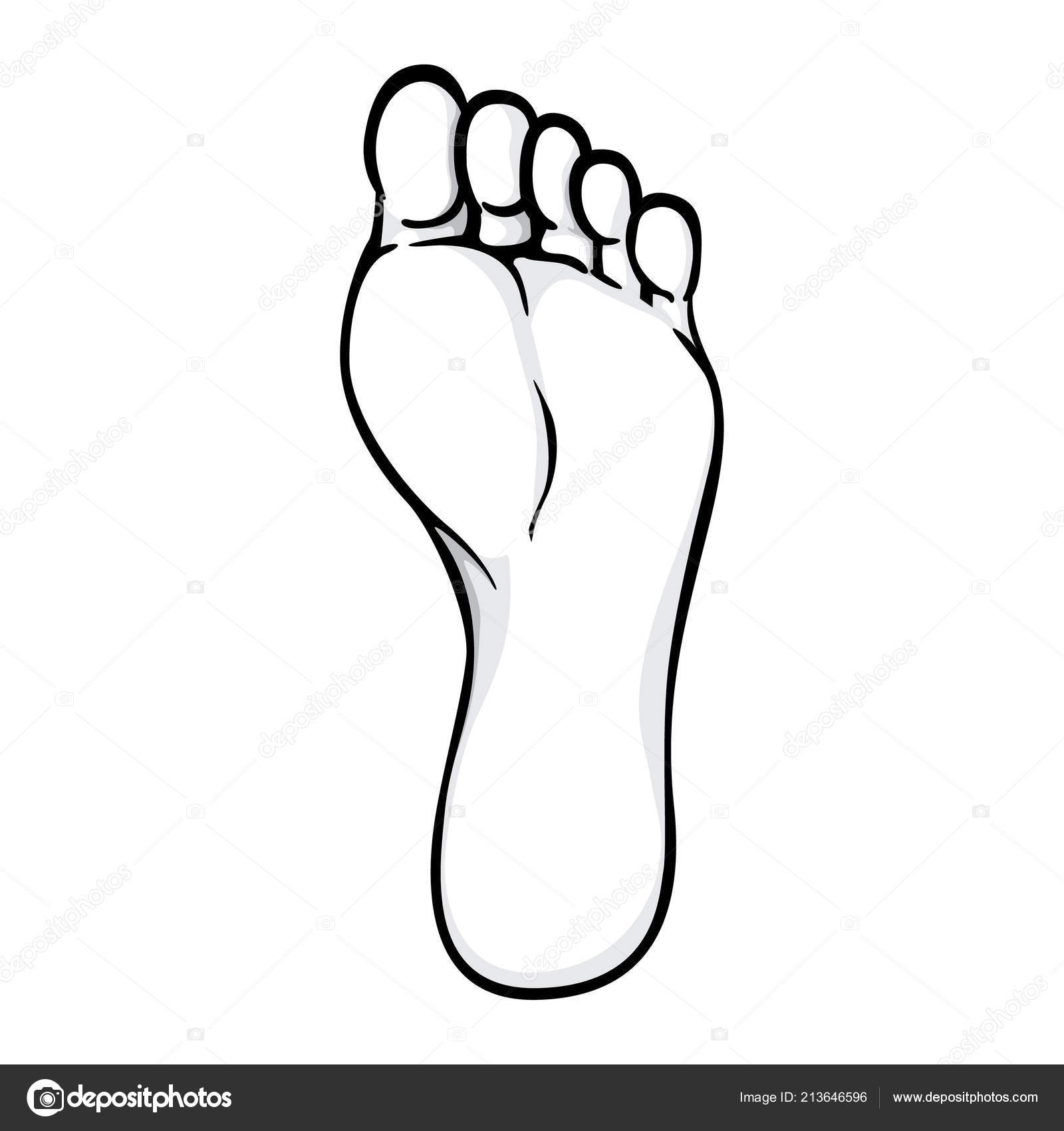 Illustration Body Part Plant Sole Right Foot Black White Ideal — Stock