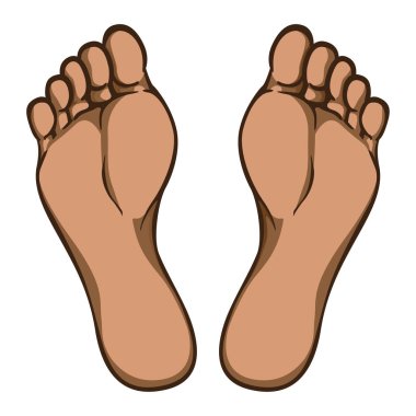 Vücut parçası, bitki veya tek ayak, afro iniş Illustration. Kataloglar, bilgi ve Kurumsal malzeme için idealdir