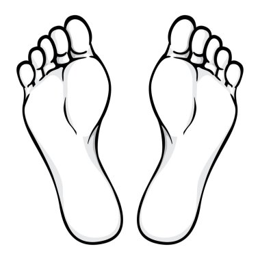 Illustration of body part, plant or sole of foot, Black white. Ideal for catalogs, information and institutional material clipart