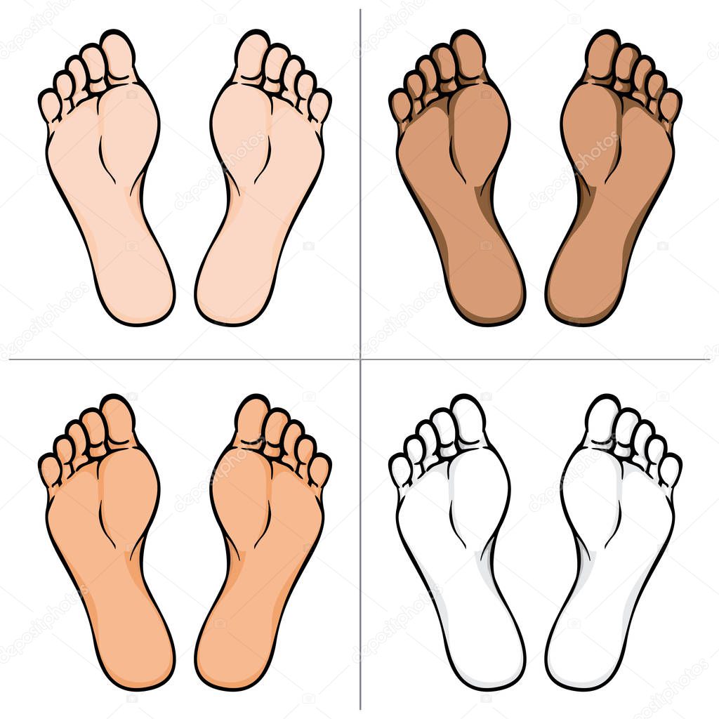 Illustration of body part, plant or sole of foot, ethnic. Ideal for catalogs, information and institutional material