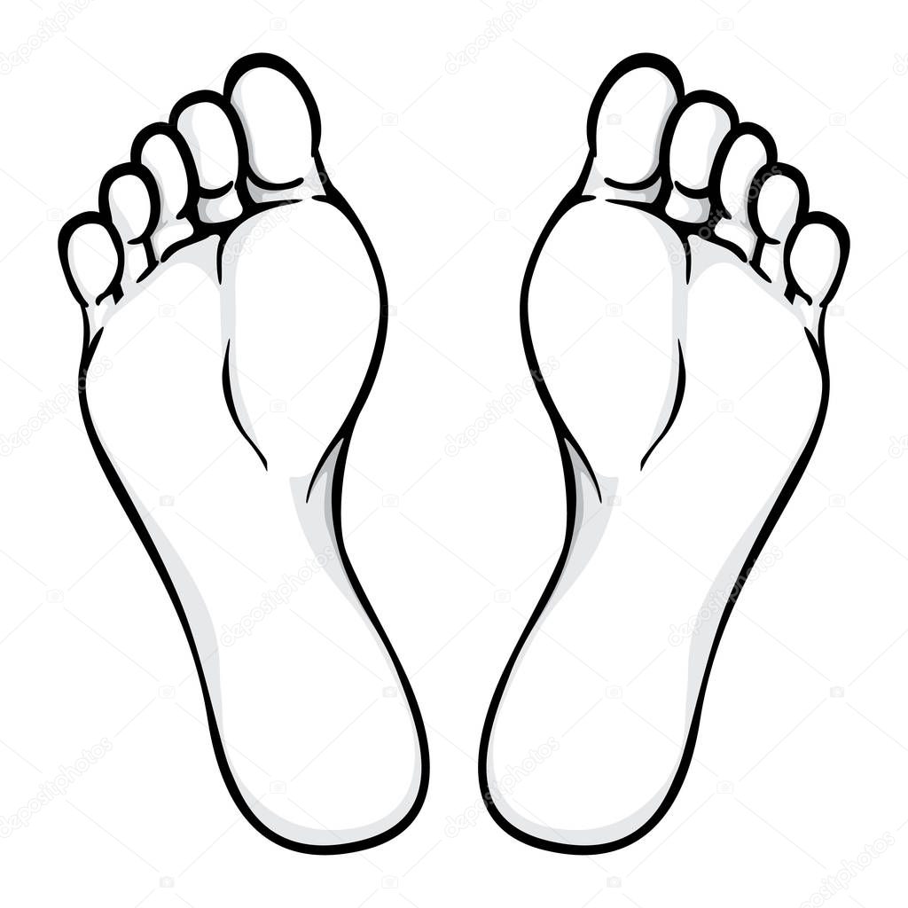 Illustration of body part, plant or sole of foot, Black white. Ideal for catalogs, information and institutional material