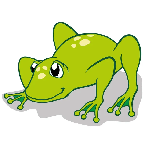 Illustration Frog Ideal Educational Cultural Materials — Stock Vector