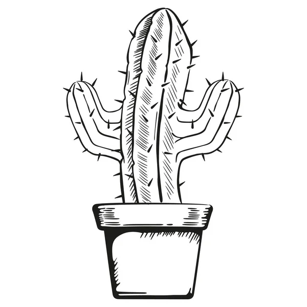 Jarrón Ilustración Con Cactus Línea Arte Ideal Para Materiales Botánicos — Vector de stock
