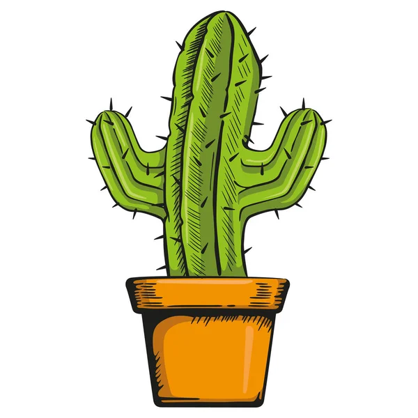 Jarrón Ilustración Con Cactus Color Ideal Para Materiales Botánicos Jardinería — Archivo Imágenes Vectoriales