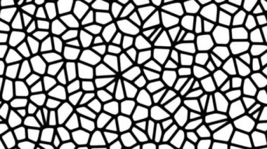 siyah ve beyaz hücre hareket 