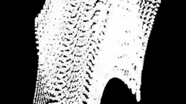 Графика Движения Анимированный Фон Белых Линий Черном Фоне Вращающемся Вокруг — стоковое видео