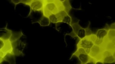 siyah zemin üzerine yeşil ışık hareketi