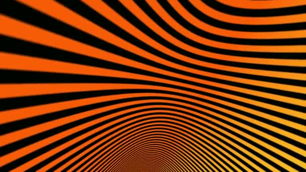 Abstract Fascinating Colorful Lines Animation — Stock Video