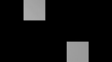 Sorunsuz siyah beyaz veri kod hareketli grafik arka planları döngü. Loopable gri tonlama dostum kod animasyon.