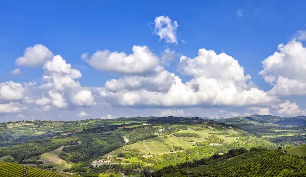 Panorama Printanier Des Vignobles Autour Serralunga Alba Piémont Italie Nord — Photo